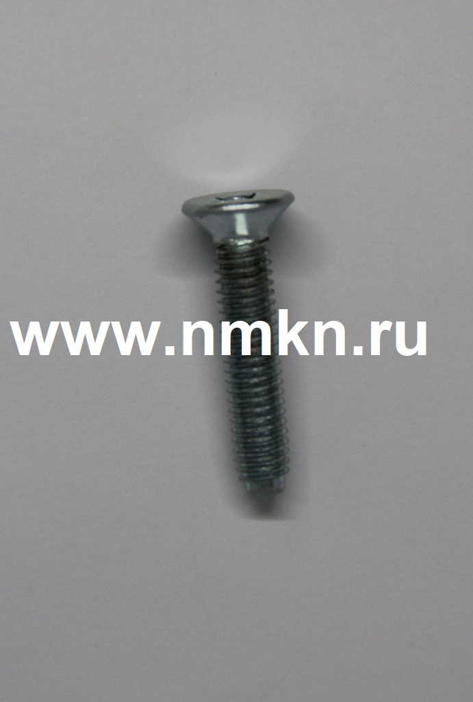 винт резьбовыдавливающий е30414 п29 (6х30 потай) в интернет-магазине НМК